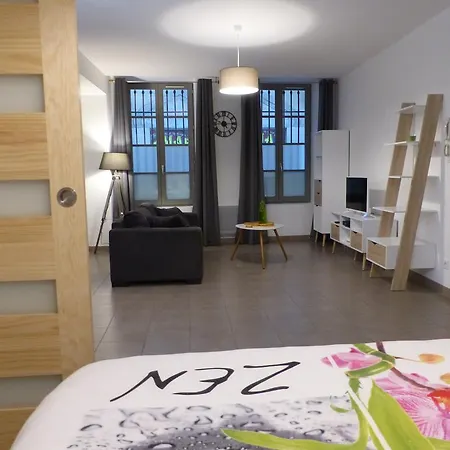 Plein Centre Appartement
